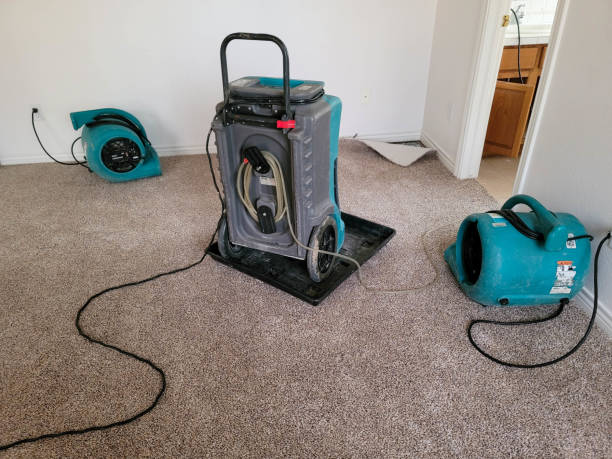 Best Sewage cleanup and water damage restoration  in Kelseyville, CA