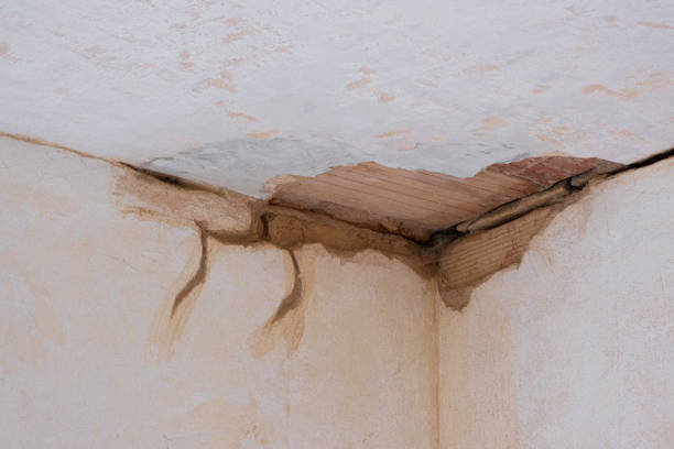Best Water damage restoration near me  in Kelseyville, CA